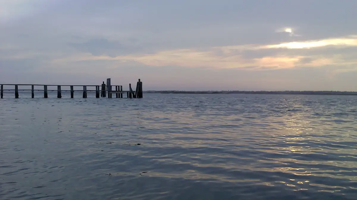 Old pilings standing in Topsail Sound at dusk